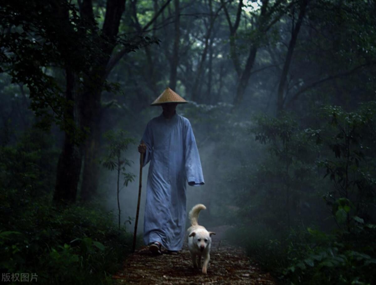 几个涨停板翻翻_涨停翻倍_股票几个涨停翻一倍