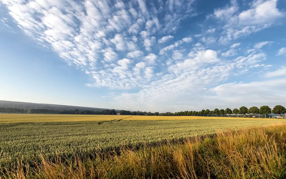 配资利息和管理费_配资利息怎么收取_配资利息一般都是多少