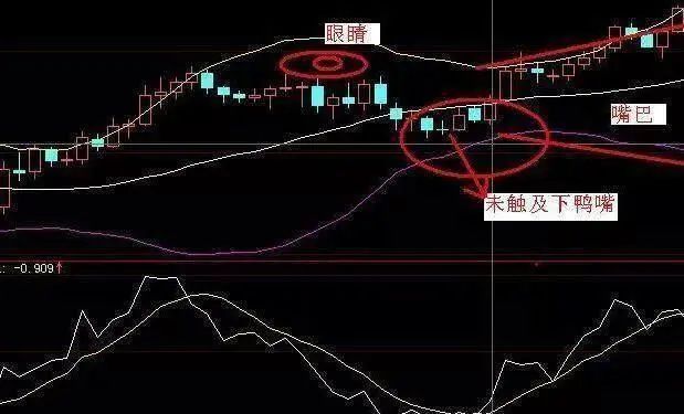 周线二次金叉抓大牛股_股市独特操作思路_老鸭头入场技巧