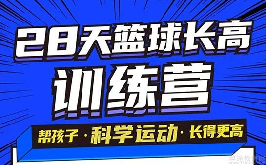 东方启明星课程