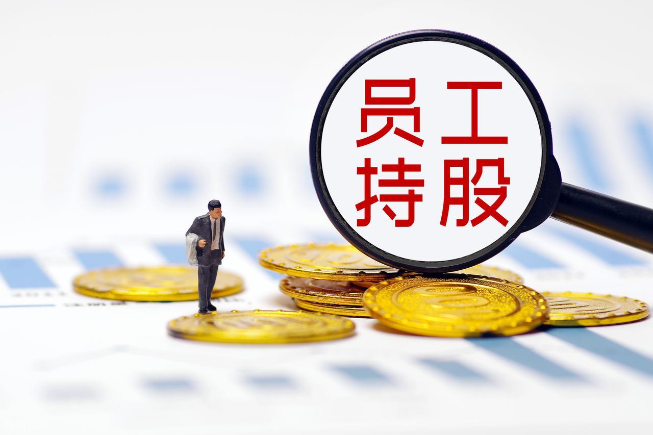 限制性股票与期权对比_股权激励方案设计_何为原始股