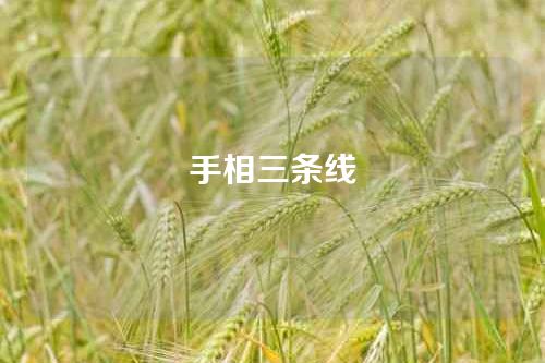 手相三条线