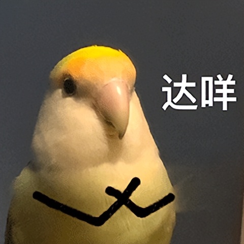 电脑怎么炒股_ 巴菲特AI投资模型 _AI股神策略预测 