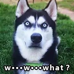 A股字母简称_B股H股N股S股GDR_股票前面加个xd是什么意思