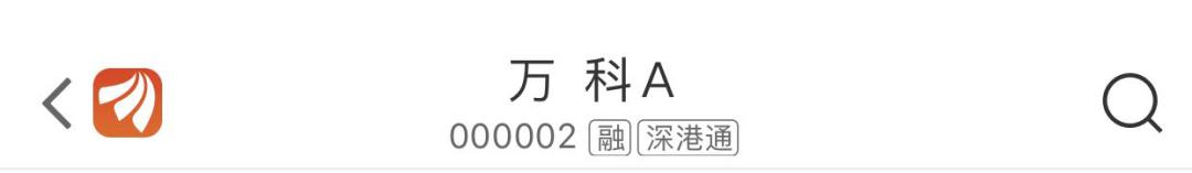 A股字母简称_B股H股N股S股GDR_股票前面加个xd是什么意思