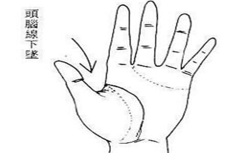 掌纹三条线连在一起_掌纹上的线是什么意思_掌纹线发黑是什么原因