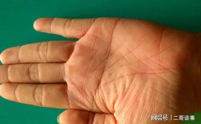 掌纹三条线连在一起_掌纹有一条横线_掌纹线很多