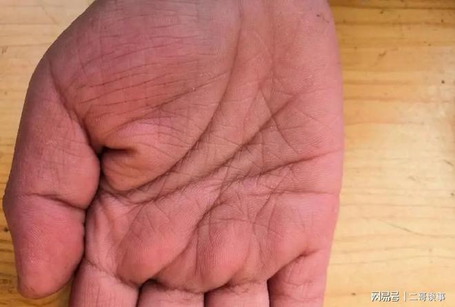 掌纹有一条横线_掌纹线很多_掌纹三条线连在一起