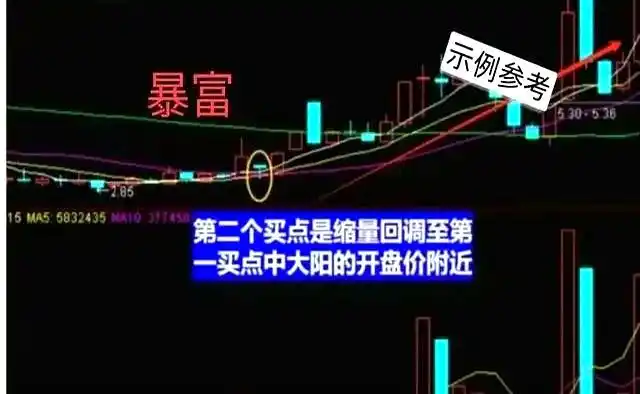 月盈利20%的炒股方法_主力资金流向_周线选股法