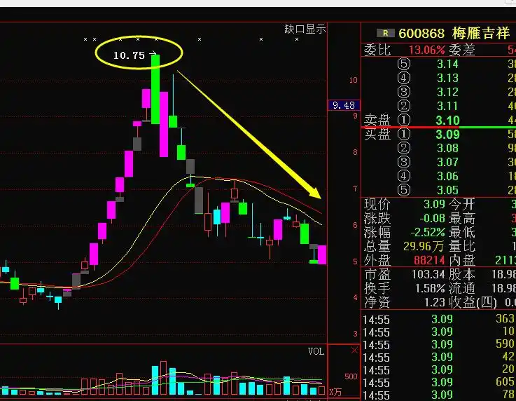 庄家拉涨停_庄家钓鱼线出货技巧_强势股分时图钓鱼线识别