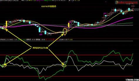 乖离率用法与运用原则_BIAS指标设置参数_乖离率曲线的形状