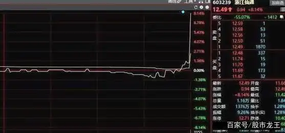 股票尾盘拉升分析_市场心态调整_庄家拉涨停
