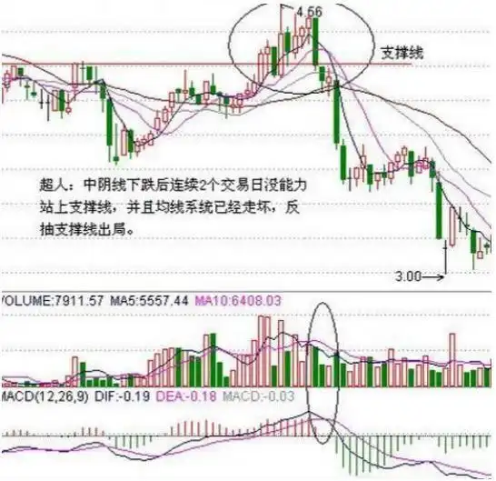 投资者心态修养_庄家拉涨停_股市心态培养
