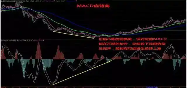 投资者心态修养_庄家拉涨停_股市心态培养