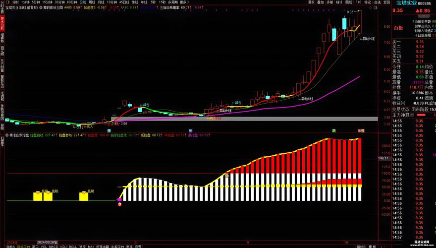 资金流向分析公式_股票资金监控软件_股票庄家资金监控指标公式