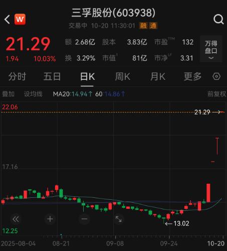 业绩预增的海外机构调研股_海外机构调研股_中国股市现状分析