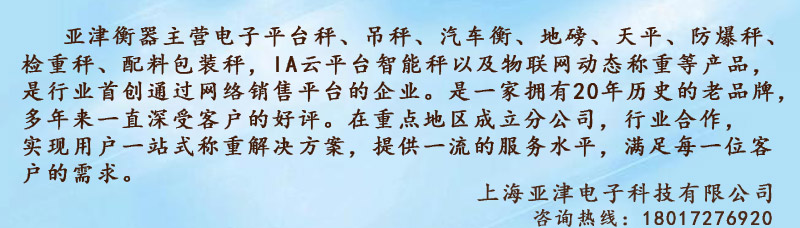 上海亚津电子科技有限公司1