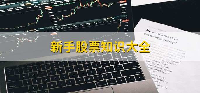 新手股票知识大全,股票基础知识一览
