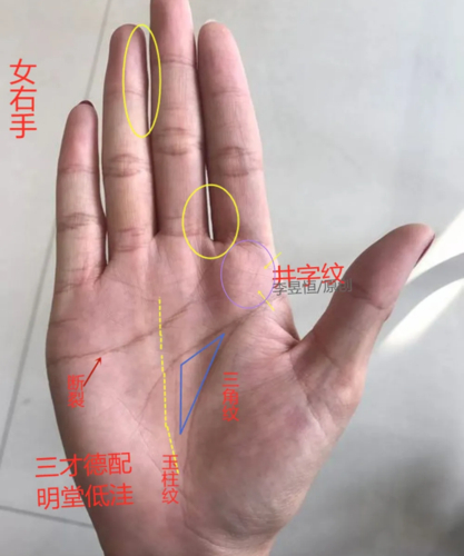 手相学六秀纹_手纹学三才纹_手纹三线起于一