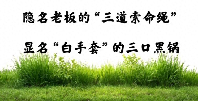 显名股东法律责任_隐名老板股权风险_股票配资资金风险