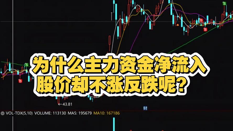 股票资金流入不涨_资金持续流入股价不涨原因_主力散户净流入股价下跌分析