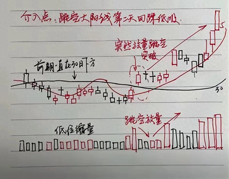 手把手教你大单净流入选股公式 避开资金陷阱