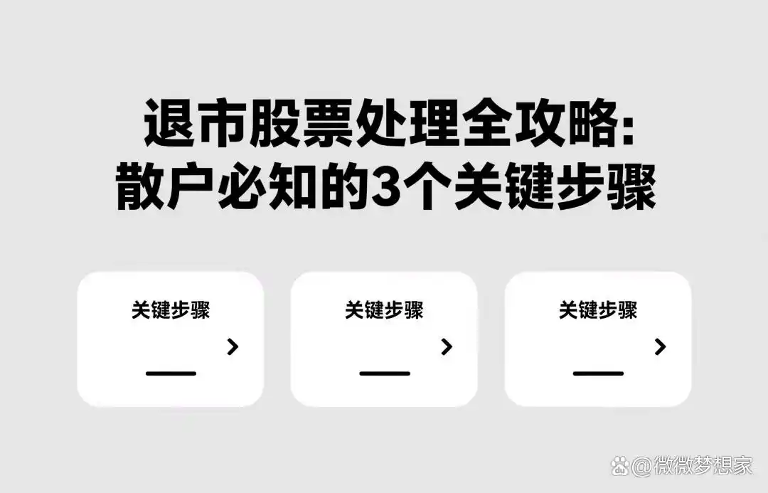 退市股票处理攻略_散户退市股票应对策略_退市整理 股票有哪些