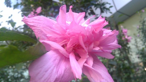 双核全键盘新宠 myTouch 4G Slide评测