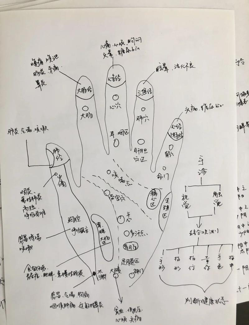 断掌在医学上叫什么_手部反射区诊断_手部健康诊断
