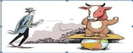 顺势而为选股_吊颈线放天量如何操作_止损不补仓