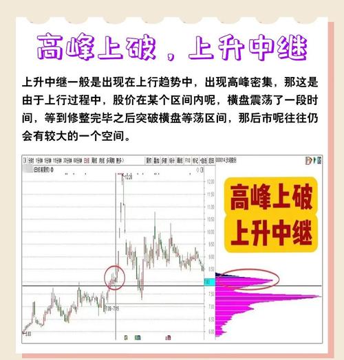 高成功率选股公式 源码_筹码柱_筹码颜色