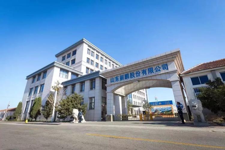 李海霞辞职暨李晓伟补选公告_002374丽鹏股份股吧_丽鹏股份董事辞职公告
