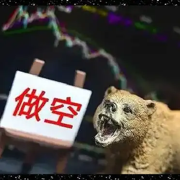 做空公司方法_浑水如何调查公司_浑水公司实战指南