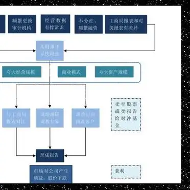 做空公司方法_浑水如何调查公司_浑水公司实战指南