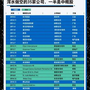 浑水公司实战指南_做空公司方法_浑水如何调查公司