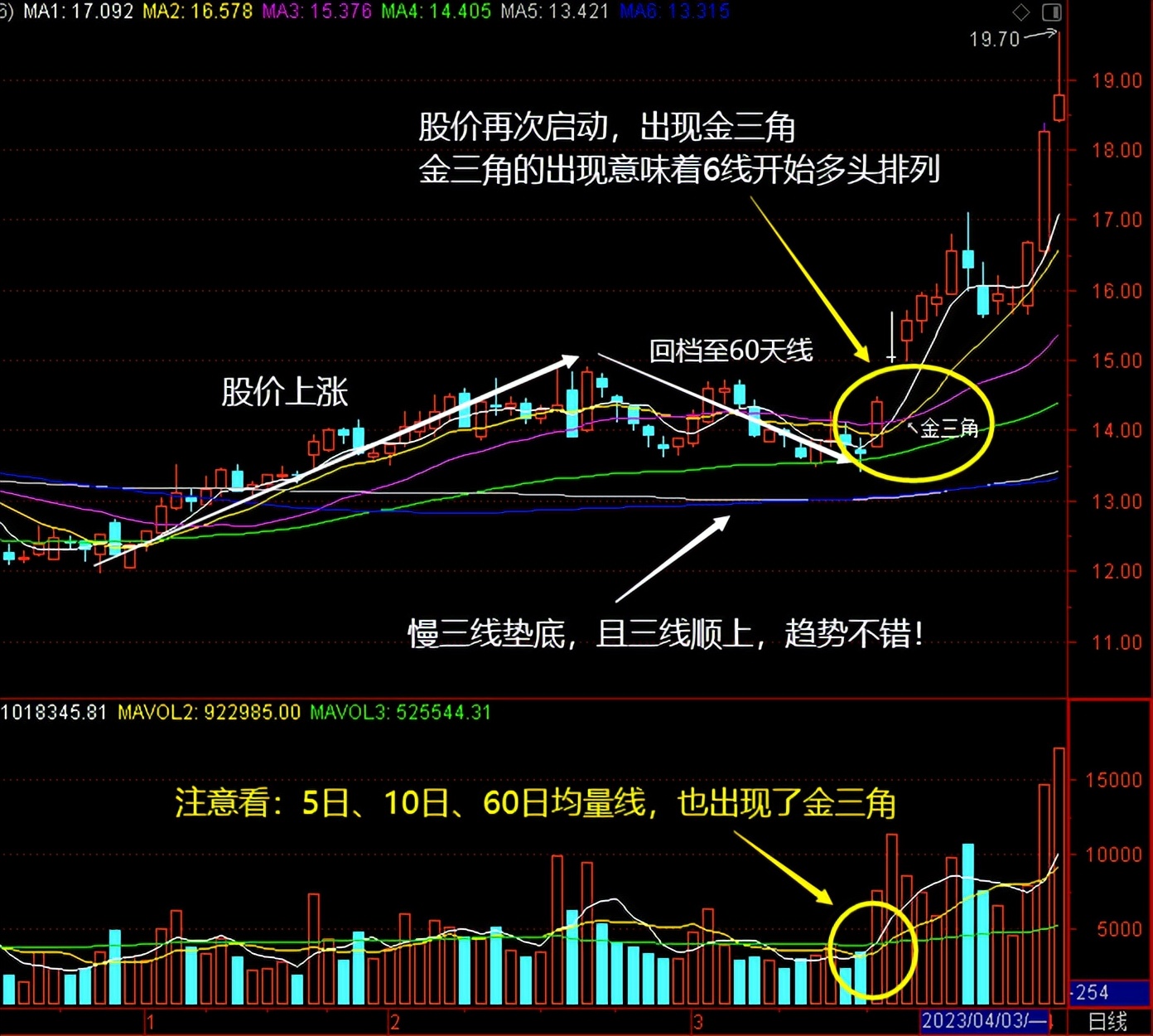 怎么调出金蜘蛛选股_均线MA_MACD