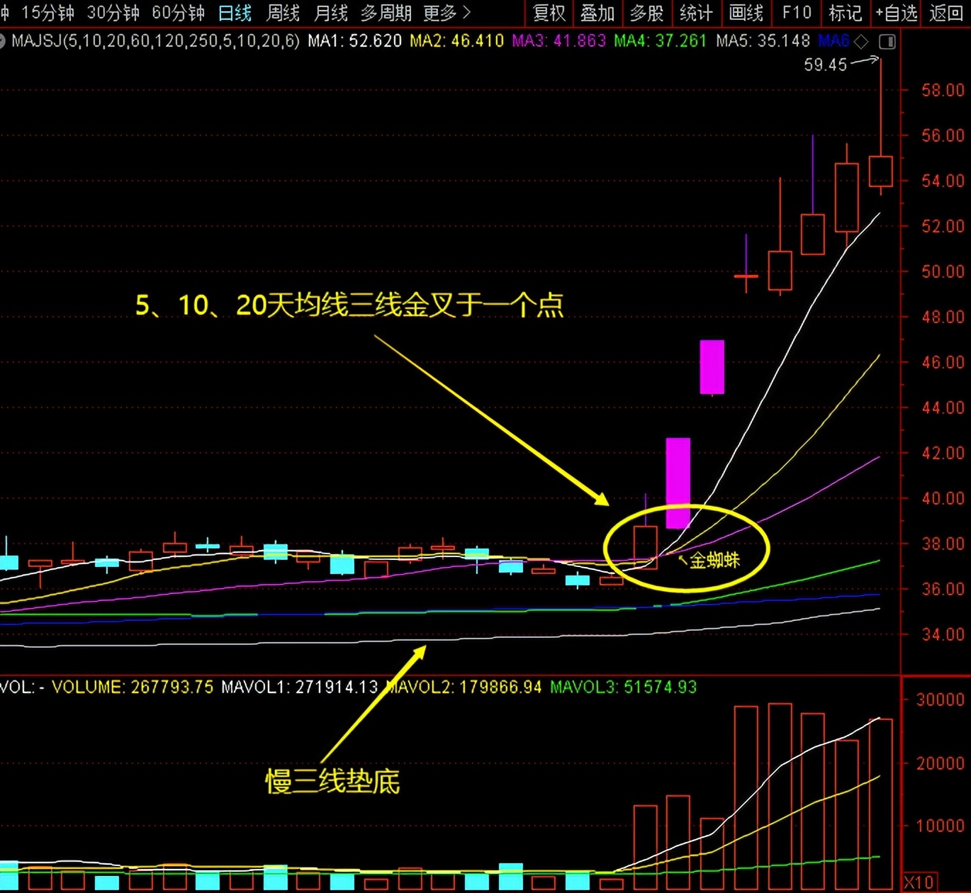 均线MA_MACD_怎么调出金蜘蛛选股