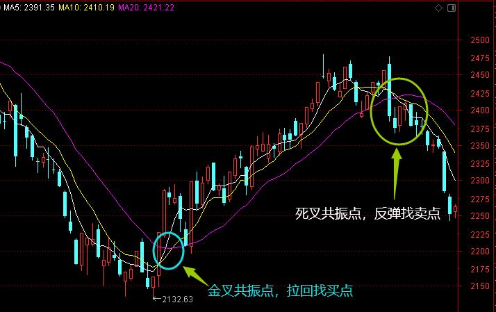均线MA_怎么调出金蜘蛛选股_MACD