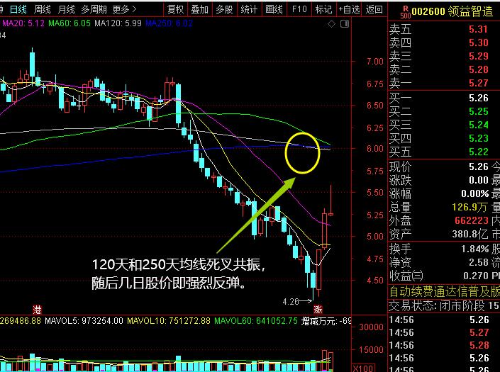 怎么调出金蜘蛛选股_MACD_均线MA