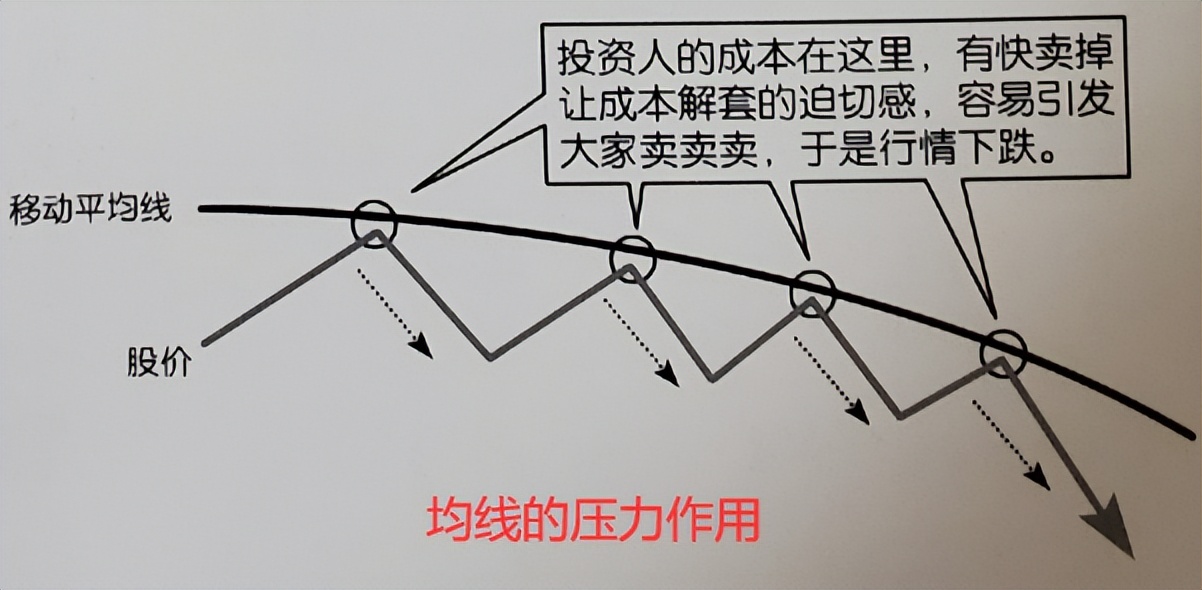 均线MA_怎么调出金蜘蛛选股_MACD