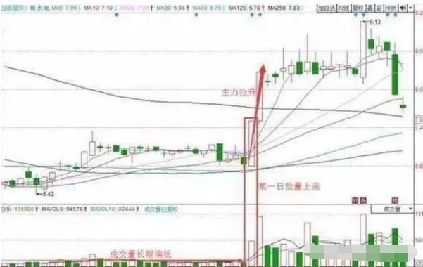 怎么调出金蜘蛛选股_技术分析选股_主力选股依据