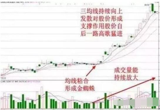 技术分析选股_怎么调出金蜘蛛选股_主力选股依据