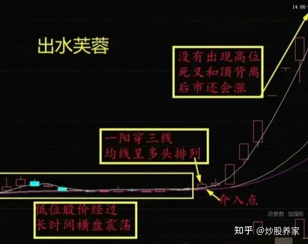 出水芙蓉K线形态_出水芙蓉操作策略_怎么调出金蜘蛛选股