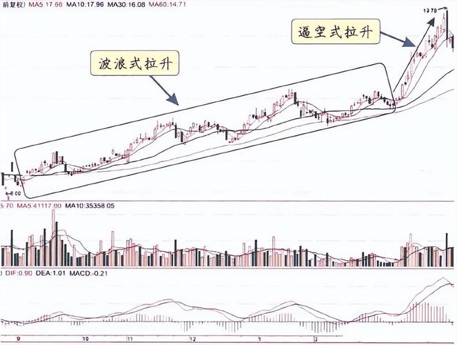 价值投资理念_主力拉升盘口现象_怎么调出金蜘蛛选股