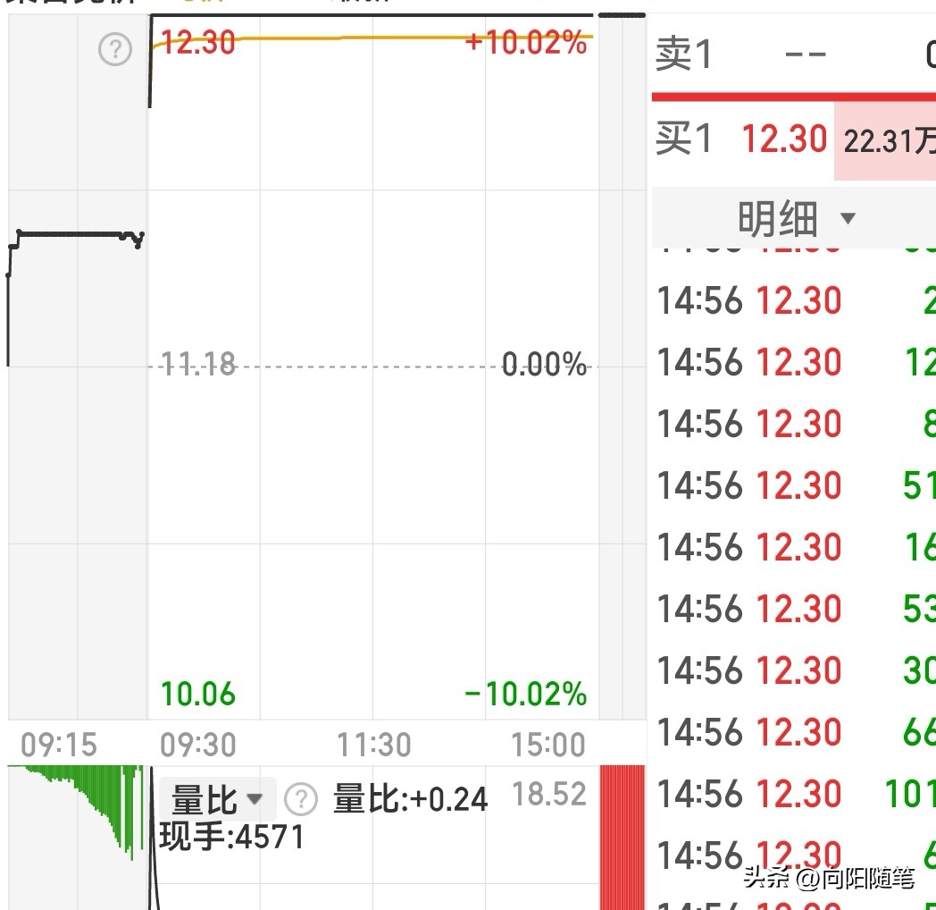 集合竞价涨停捕捉法_高开幅度成交量买卖挂单价格走势_竞价涨停什么意思